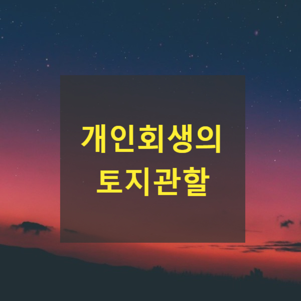  개인회생의 토지관할