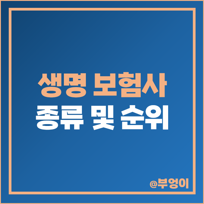 국내 생명 보험사 순위 종류 : 외국계 보험회사 매출액 영업이익 순이익 자본금 비교 국내 생명 보험사 순위 종류 : 외국계 보험회사 매출액 영업이익 순이익 자본금 비교