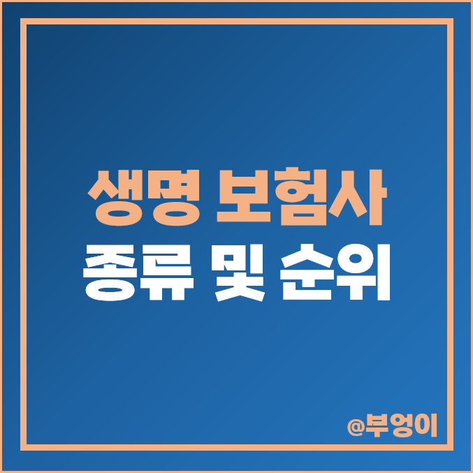 국내 생명 보험사 순위 종류 : 외국계 보험회사 매출액 영업이익 순이익 자본금 비교