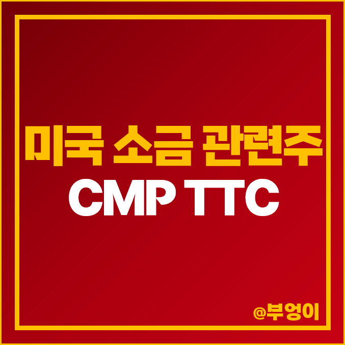 미국 소금 관련주 : CMP TTC 주식