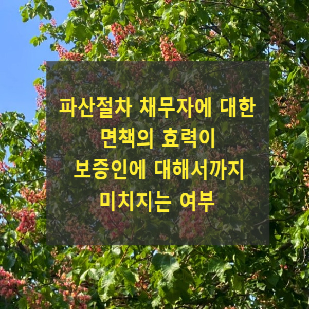  파산절차 채무자에 대한 면책의 효력이 보증인에 대해서까지 미치지는 여부
