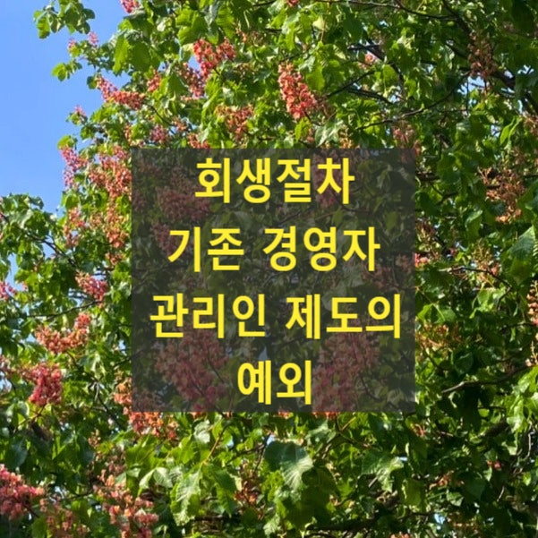 회생절차 기존 경영자 관리인 제도의 예외
