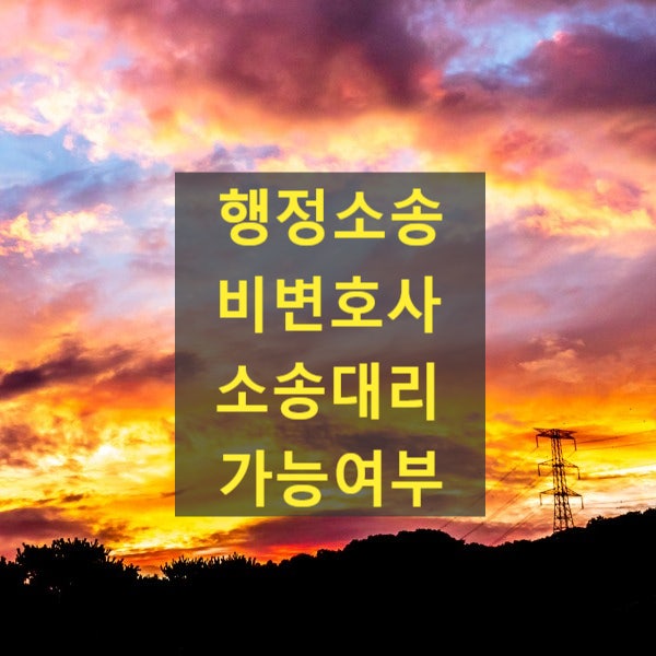  행정소송 비변호사 소송대리 가능여부