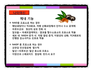  에너지시스템 작동 영양소