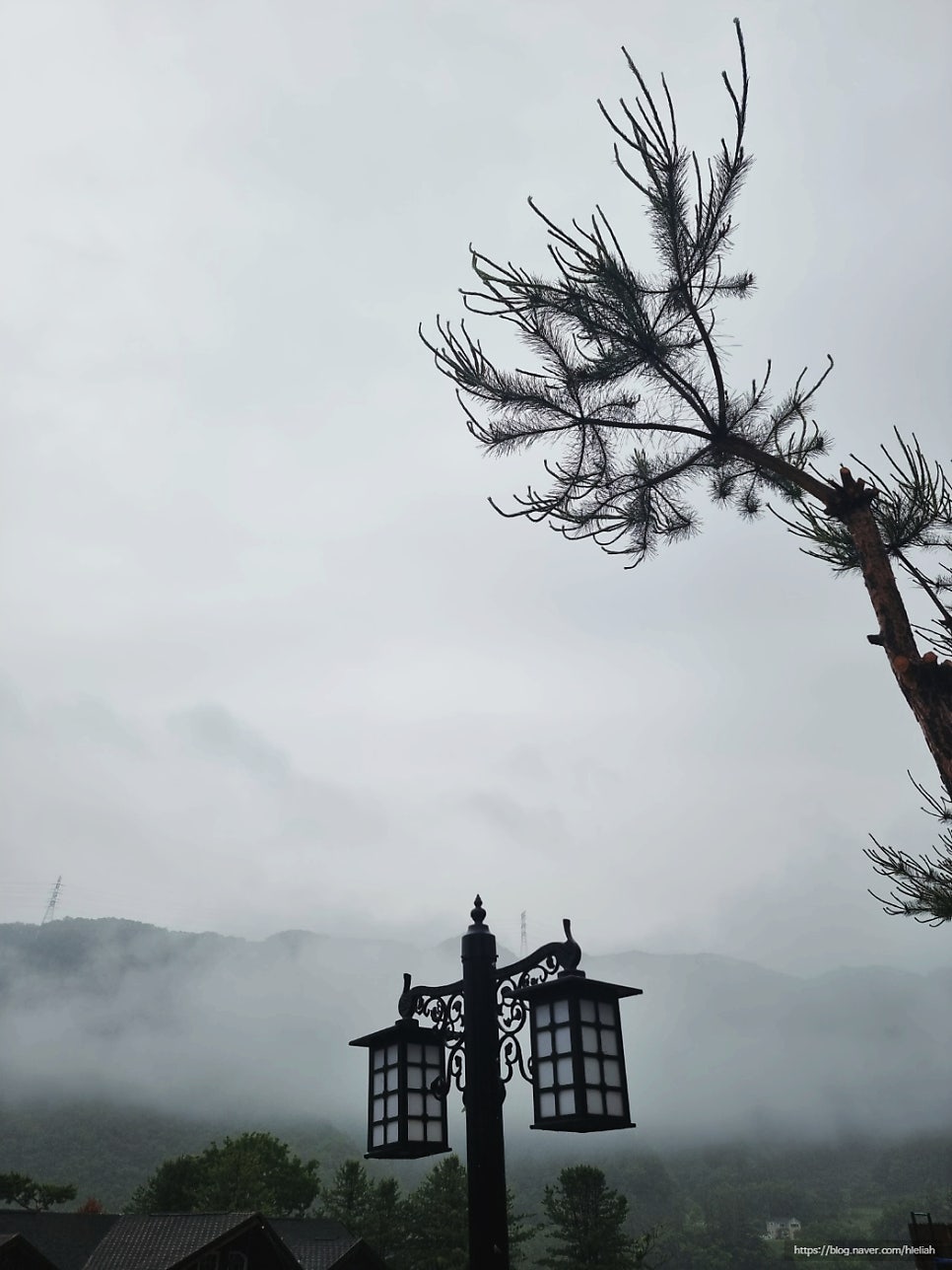 레드존플러스펜션 사진 1