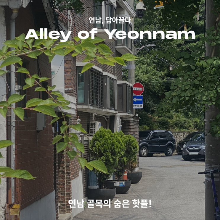  [연남, 담아끌다] Alley of Yeonnam
