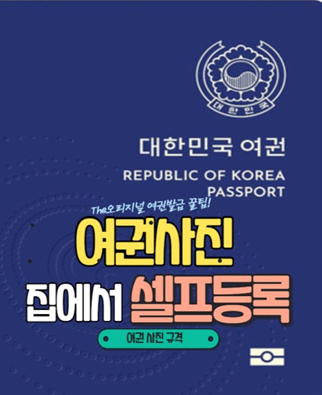  여권사진 집에서 셀프등록 시 유의사항! (ft. 여권사진규격)