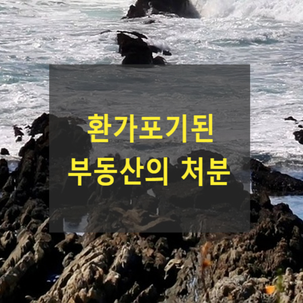  환가포기된 부동산의 처분