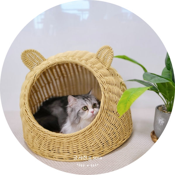루디펫 라탄하우스 여름철 고양이 숨숨집으로 안성맞춤(f. 고양이하우스)