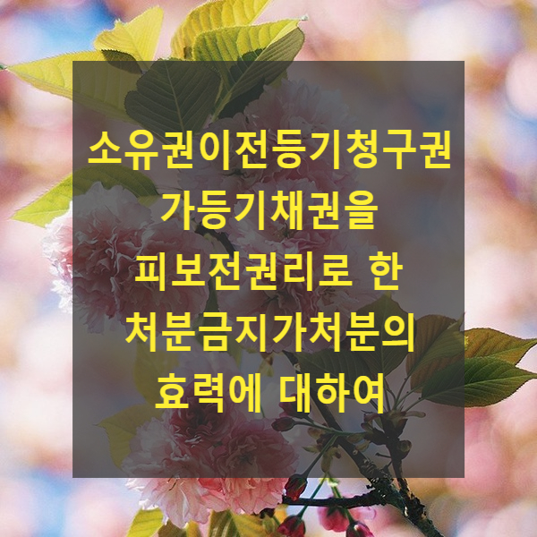  소유권이전등기청구권 가등기채권을 피보전권리로 한 처분금지가처분의 효력에 대하여(대법원 2022. 6. 30. 선고 2018다276218 판결)