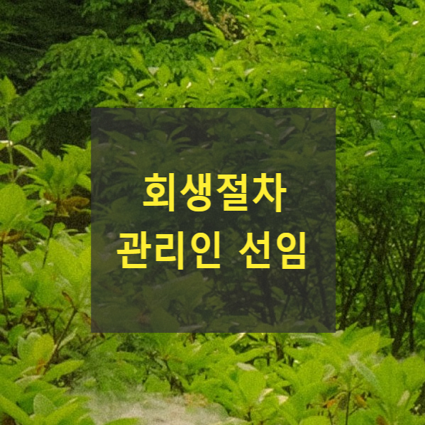  회생절차 관리인 선임