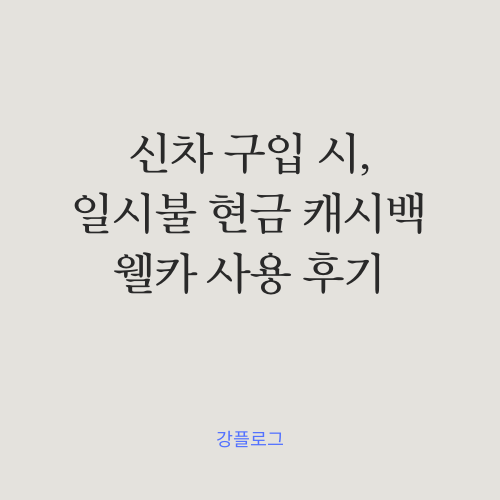  [그랜저GN7] 신차 일시불 캐시백 이벤트 웰카 사용 후기