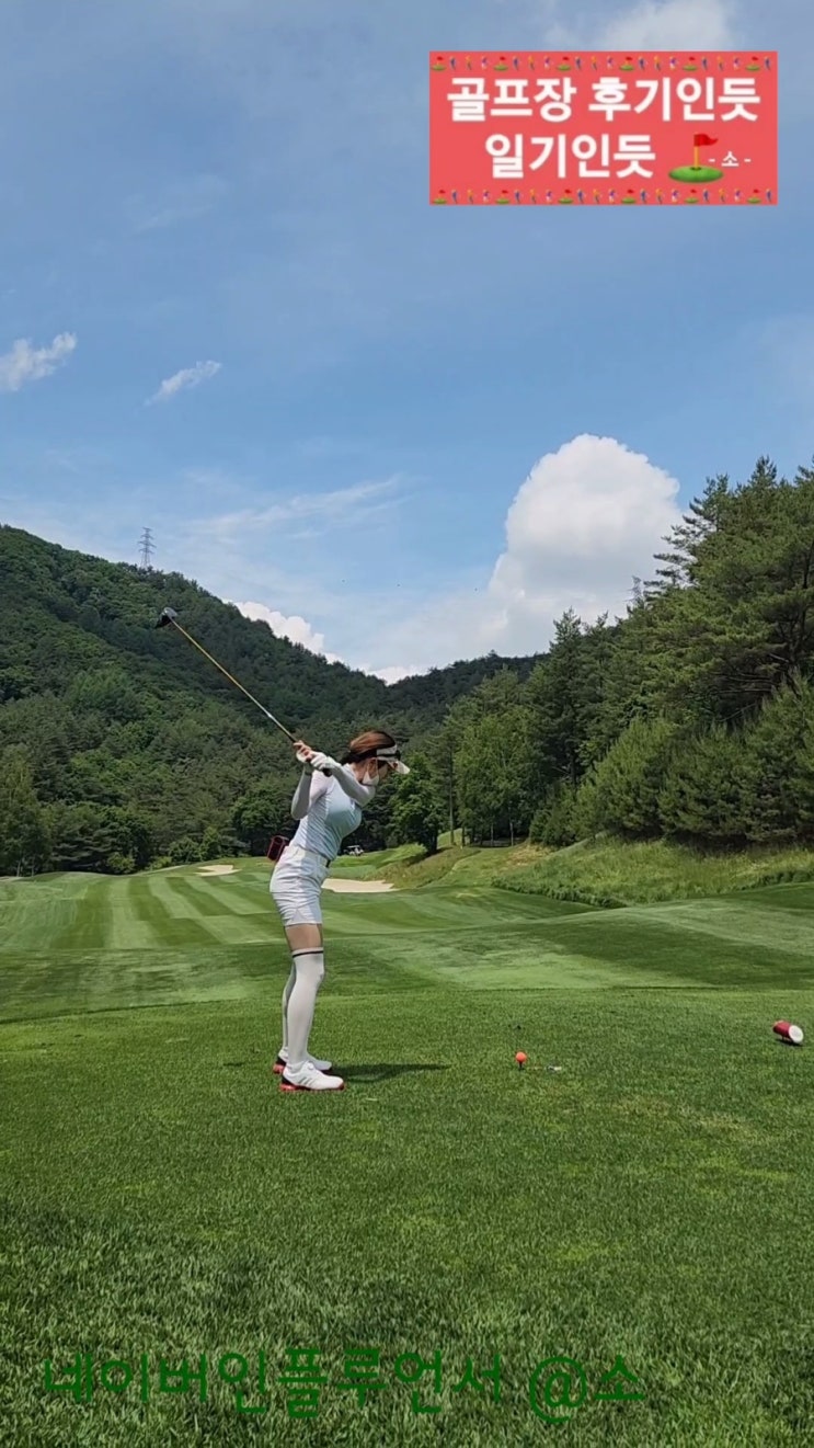 자외선차단 니삭스골프스타킹 추천(도나티삭스 투톤 스타킹 15D 화이트)