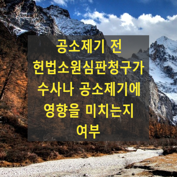  공소제기 전 헌법소원심판청구가 수사나 공소제기에 영향을 미치는지 여부