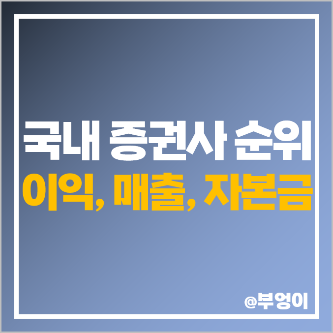 국내 증권사 순위 : 한국 증권회사 종류, 순이익, 매출액, 자본금 비교 국내 증권사 순위 : 한국 증권회사 종류, 순이익, 매출액, 자본금 비교