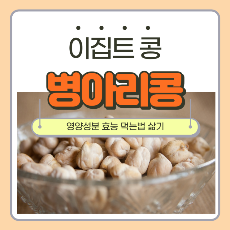 병아리콩 효능 영양 성분, 삶기, 먹는 법 - 콩밥 영양만점!