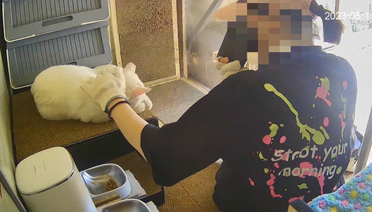  남편 대신 쉼터 가서 옥수 관리하고 청소하고 왔다 : 유기묘옥수