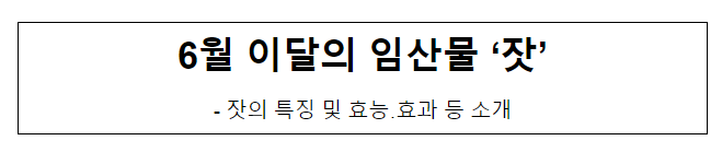 6월 이달의 임산물 ‘잣’_산림청 6월 이달의 임산물 ‘잣’_산림청