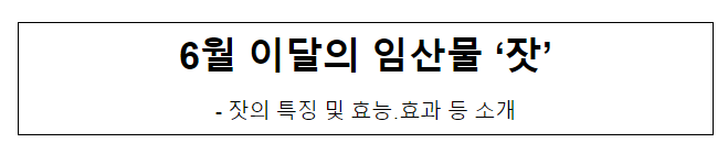 6월 이달의 임산물 ‘잣’_산림청