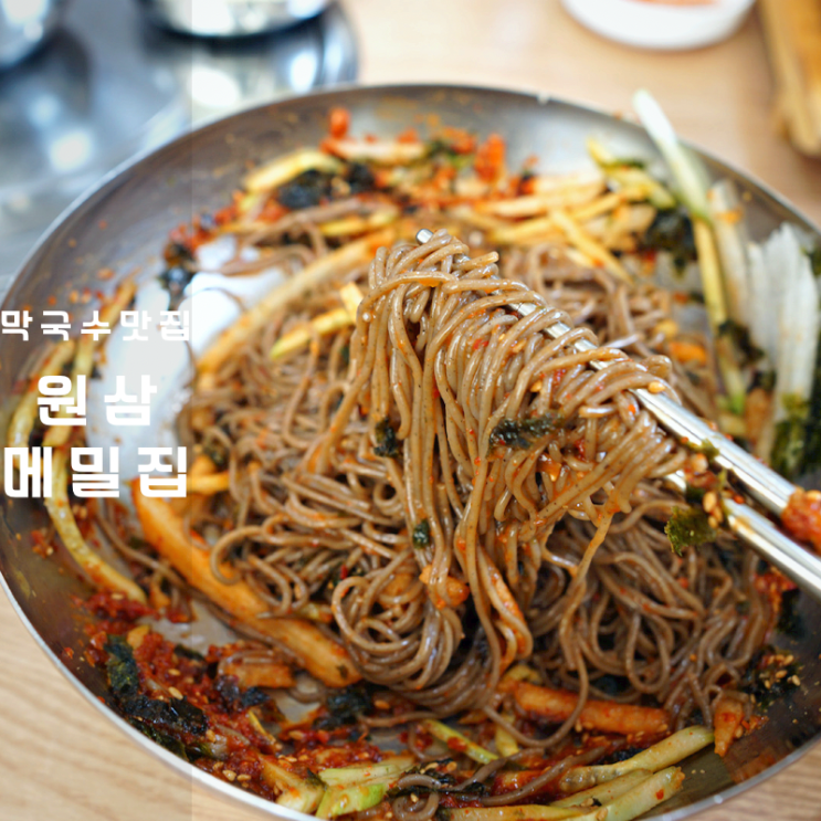  용인 처인구 원삼메밀집 비빔 동치미 메밀 막국수