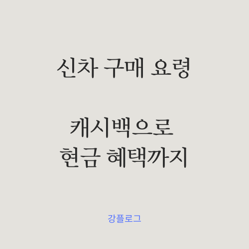  신차 구매 요령 일시불 할부 카드 캐시백으로 현금 혜택을 받아보자