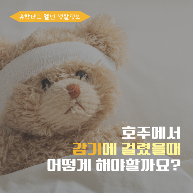  호주 감기약, 어떤걸로 사야할지 종류별로 소개해드려요! (유학네트 멜버른)