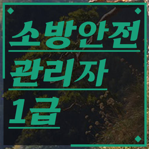  소방안전관리자 1급 진출분야