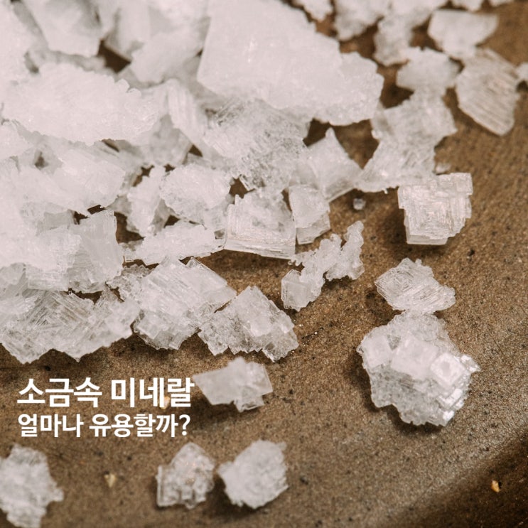  미네랄소금은 식품? 광물? (자염,천일염,정제염비교)
