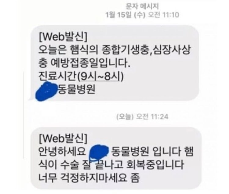 [웃긴 짤 모음 2] 행복하다면 OK입니다_아무튼 시험기간 : 네이버 블로그
