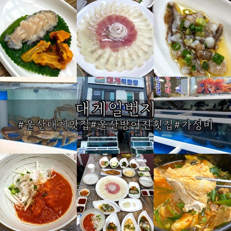  울산대게맛집 배터지는 방어진 횟집 대게일번지!
