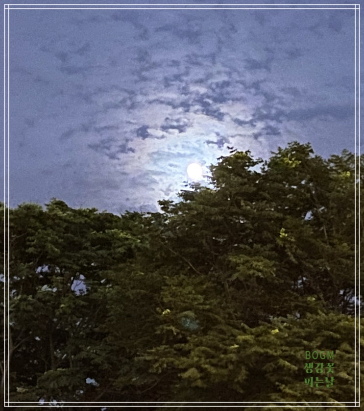  웹연재18. 선생님 어디 있어요?
