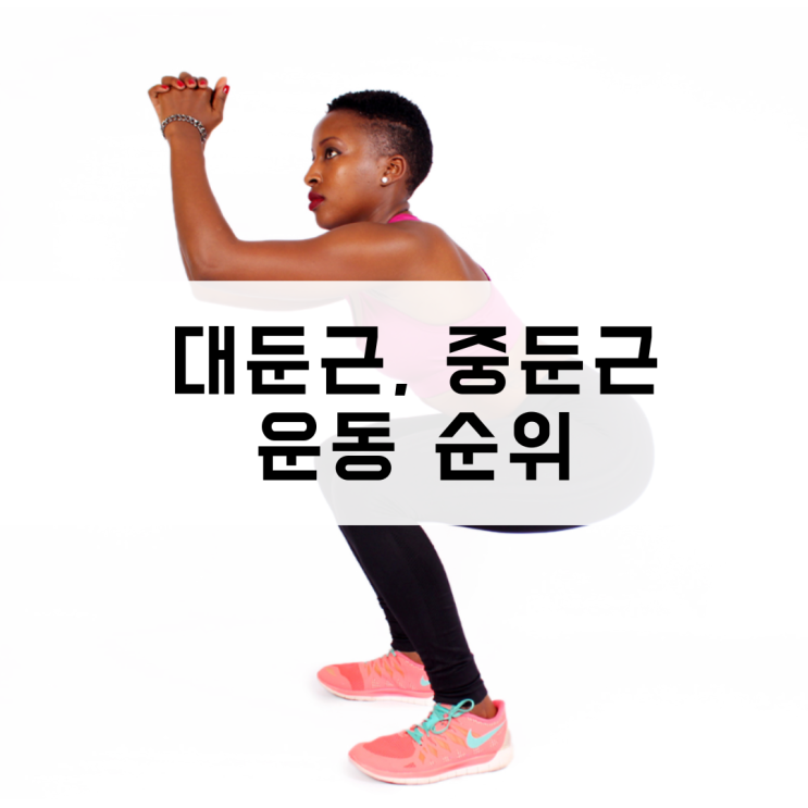  대둔근 중둔근 엉덩이 운동 순위 녹번pt
