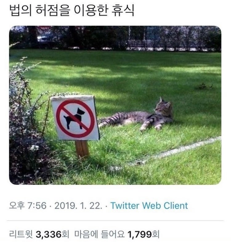 [웃긴 짤 모음 2] 행복하다면 OK입니다_아무튼 시험기간 : 네이버 블로그