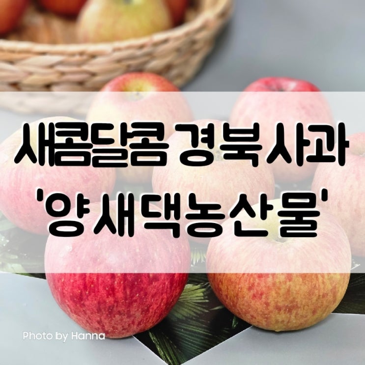  아삭 새콤 달콤한 경북 작은사과 한박스 ‘양새댁농산물’