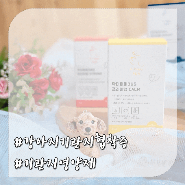  강아지 기관지협착증 원인 증상 예방 영양제 닥터퍼피365