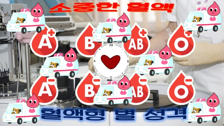  혈액형 별 성격