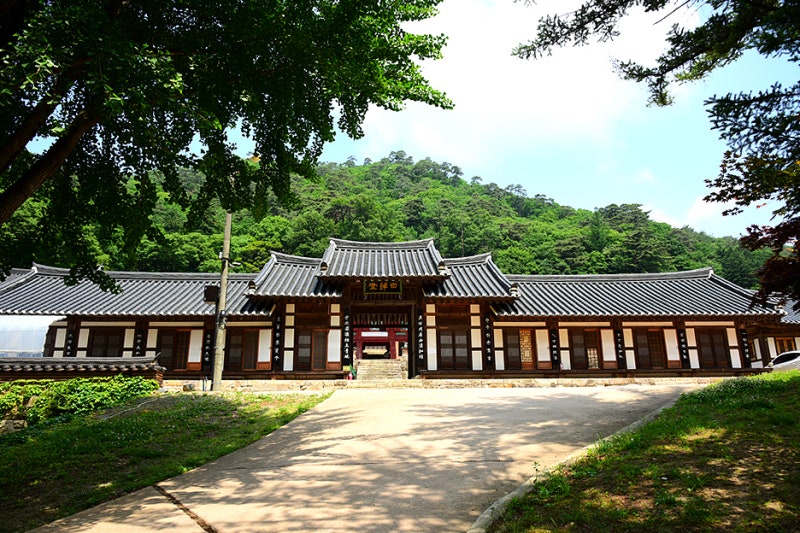 국내 여행 가볼만한곳 경북 드라이브코스 6월 7월 점촌점빵길 | 국내1 ...