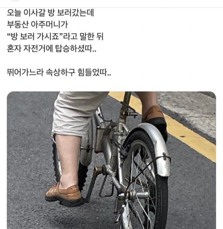 [웃긴 짤 모음 2] 행복하다면 OK입니다_아무튼 시험기간 : 네이버 블로그