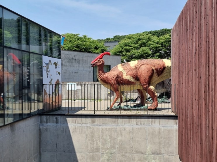생후25개월 두돌아기와 헤이리마을 파주공룡박물관에서 공룡 원 없이 구경하기 생후25개월 두돌아기와 헤이리마을 파주공룡박물관에서 공룡 원 없이 구경하기
