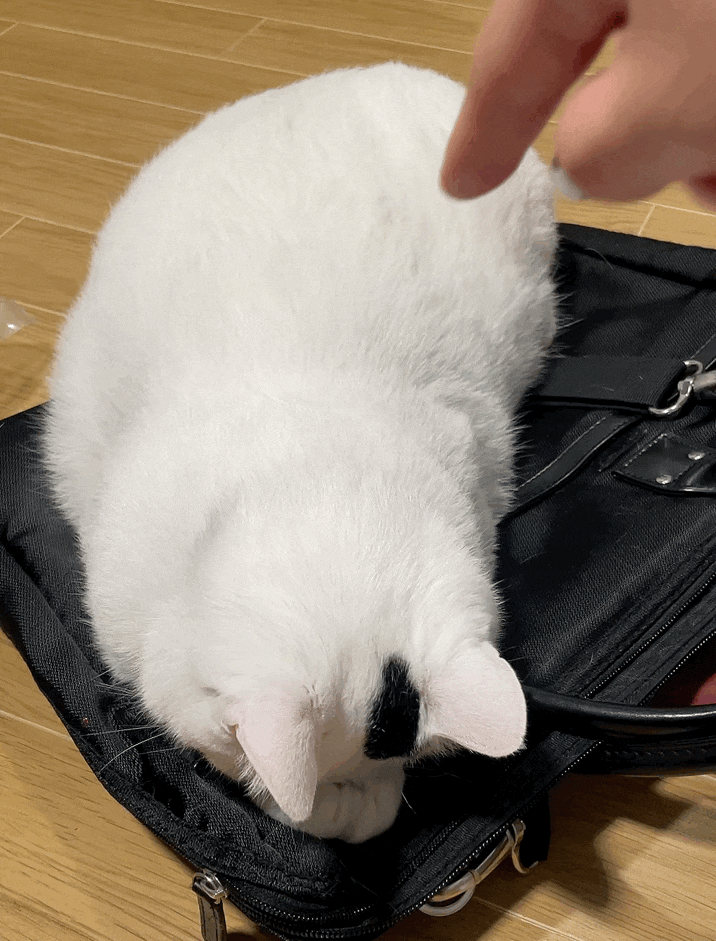  [2023_06 둘째주 일기] 운동하고 먹고 작업하고 놀고