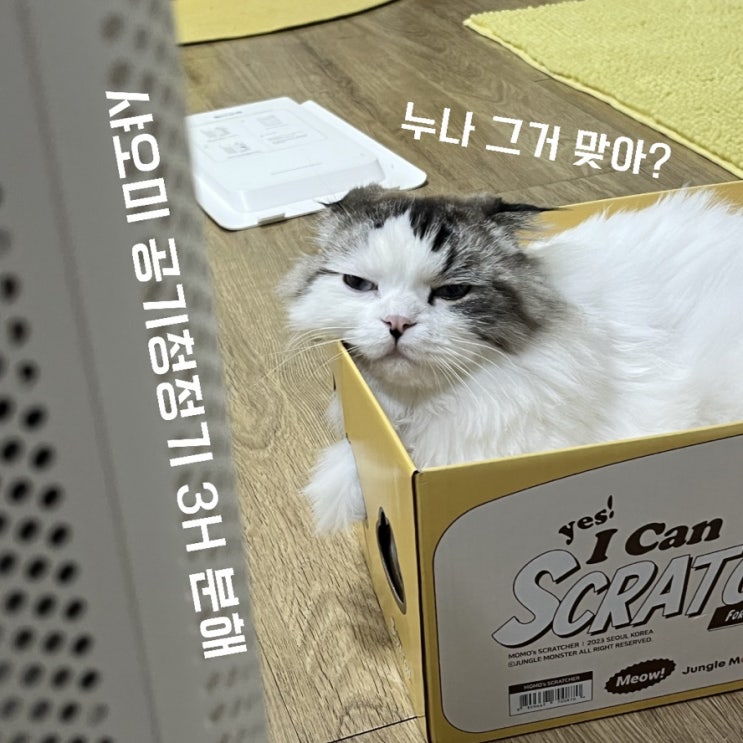  [당근 마켓] 샤오미 공기청정기 3H, 웁스 더러웡 ;; 분해해서 청소한 후기