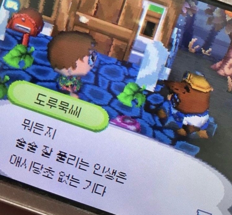 [웃긴 짤 모음 2] 행복하다면 OK입니다_아무튼 시험기간 : 네이버 블로그
