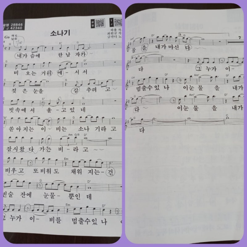 금잔디 // 소나기