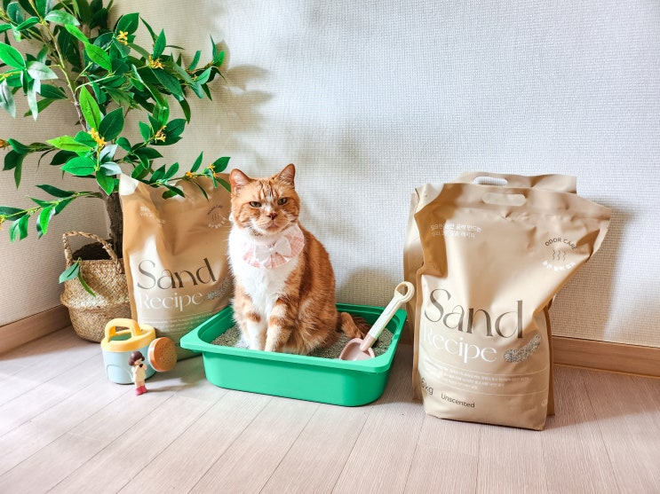  고양이 화장실 모래 악취 잡아주는 네이버펫 캣츠루틴 샌드레시피