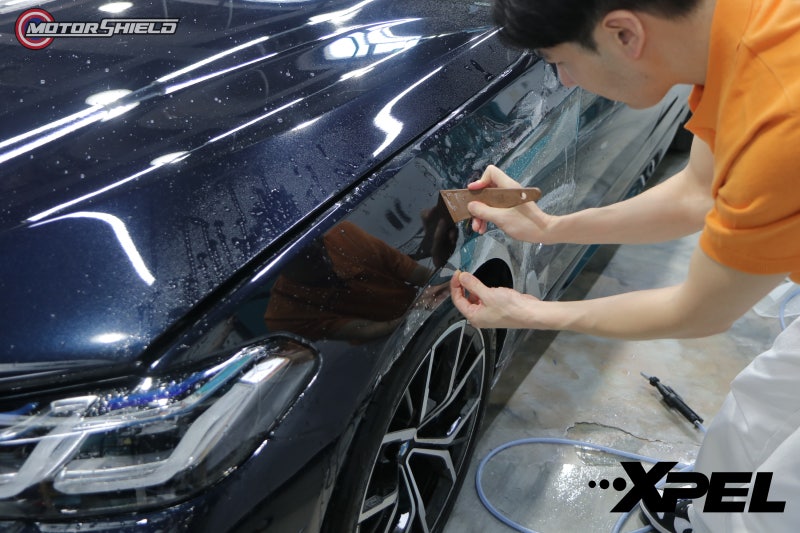 대전 유성구 / PPF / BMW / 5시리즈