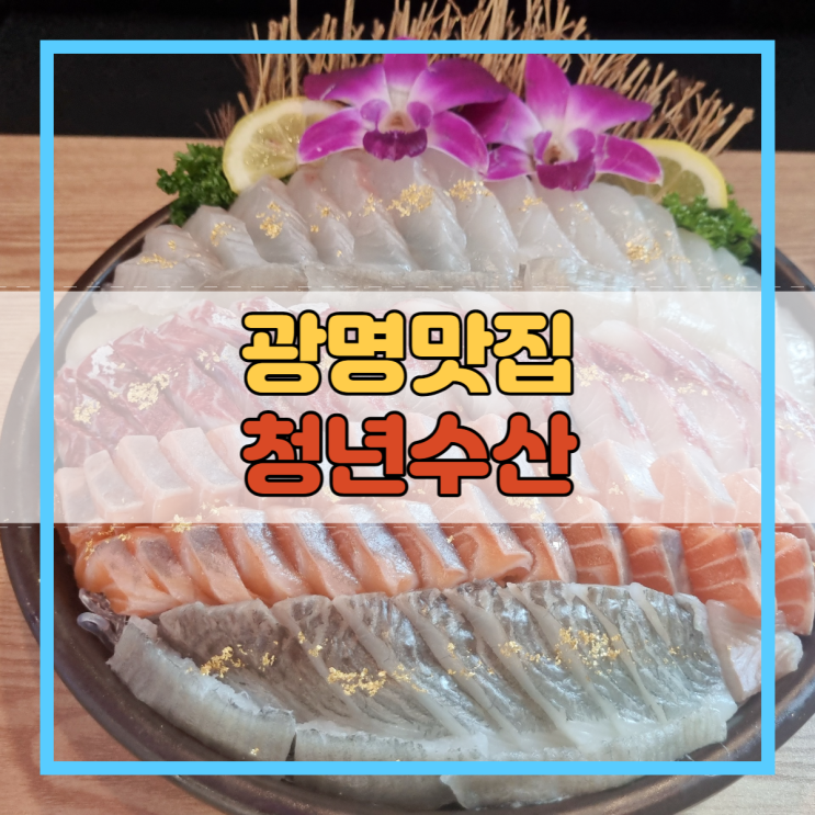  광명맛집 제철회 활어회 자연산막회 청년수산