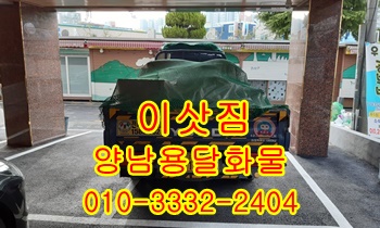 양남용달 양북 감포 정자 강동 산하동 주전 용달 양남용달 양북 감포 정자 강동 산하동 주전 용달