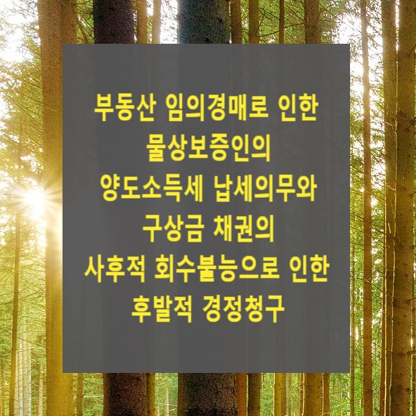 <조세>부동산 임의경매로 인한 물상보증인의 양도소득세 납세의무와 구상금 채권의 사후적 회수불능으로 인한 후발적 경정청구(2020두53699 판결)