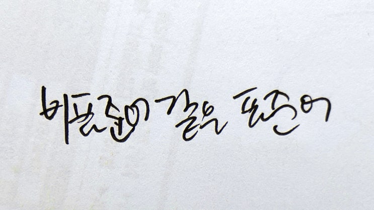  [표준어 정복] 비표준어같지만 사실은 표준어다?