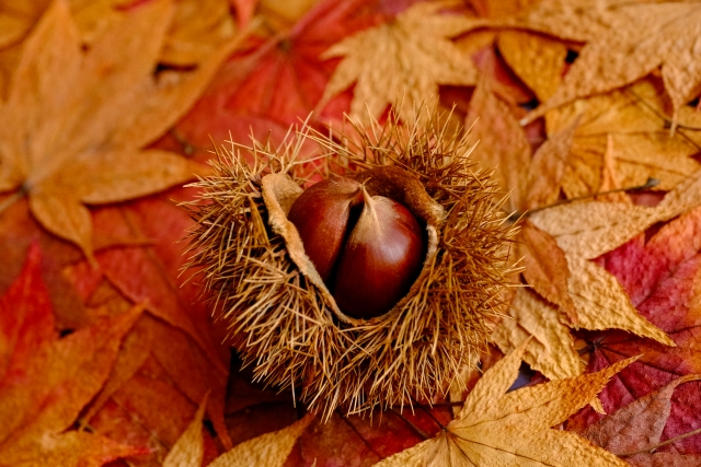  [2ch 괴담] 배 이상 되갚기